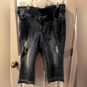 Lane Bryant High Rise Jegging Crop